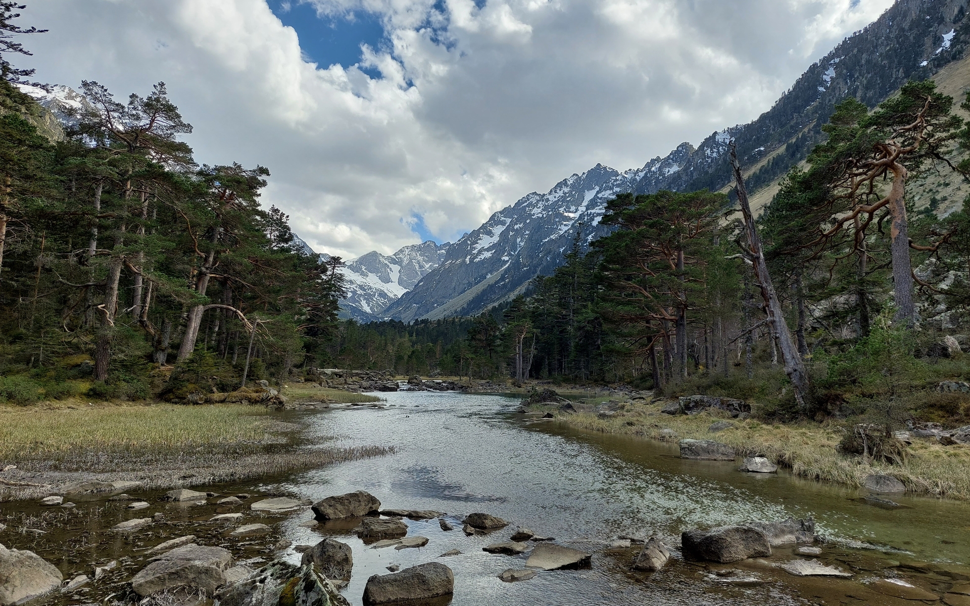 Sur-Piste-des-Animaux-Arrandonnee-au-Pont-Despagne-Avec-Caminando
